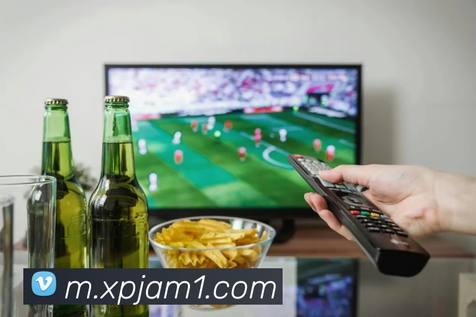 澳门新葡京服务体系